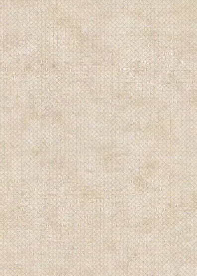 THE BOS - AS Creation - 388262 - 104,- Kč/m2
